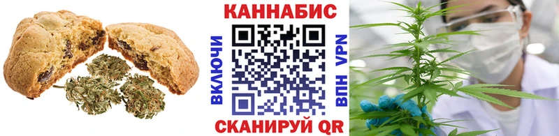 мега вход  Волоколамск  Cannafood конопля 