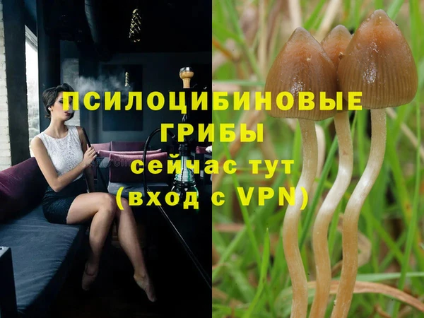прущая мука Абаза