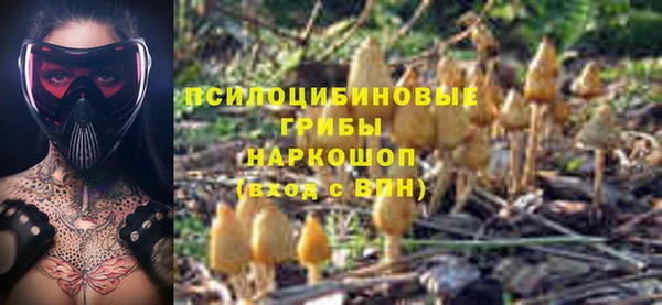 соль ск Алексин