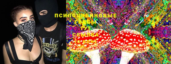 прущие грибы Абдулино