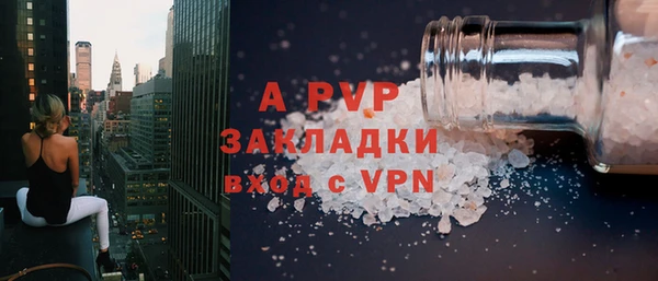 прущие грибы Абдулино
